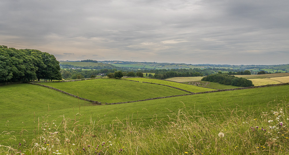 Carsington Pastures Carsington Pastures
